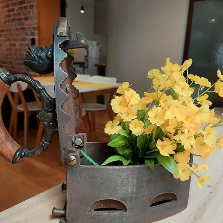 Apartament Old-timer *