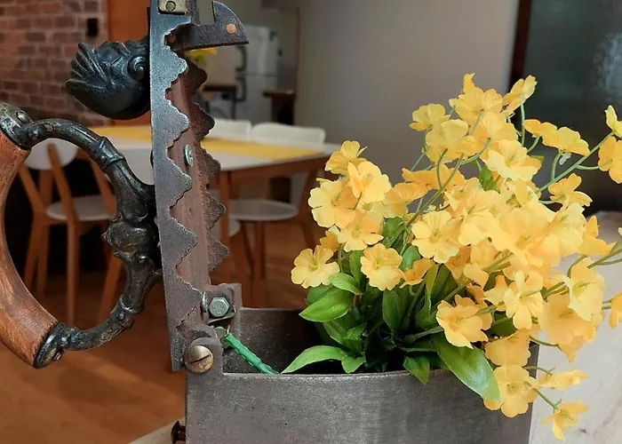 Appartement Old-timer *